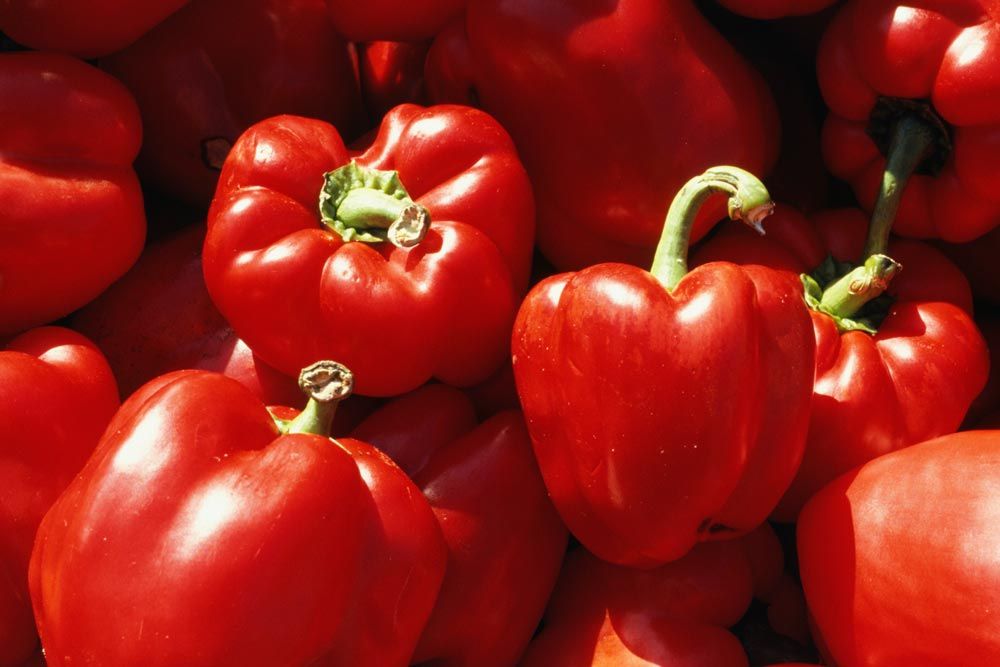 Paprika Aroma Typ Süss