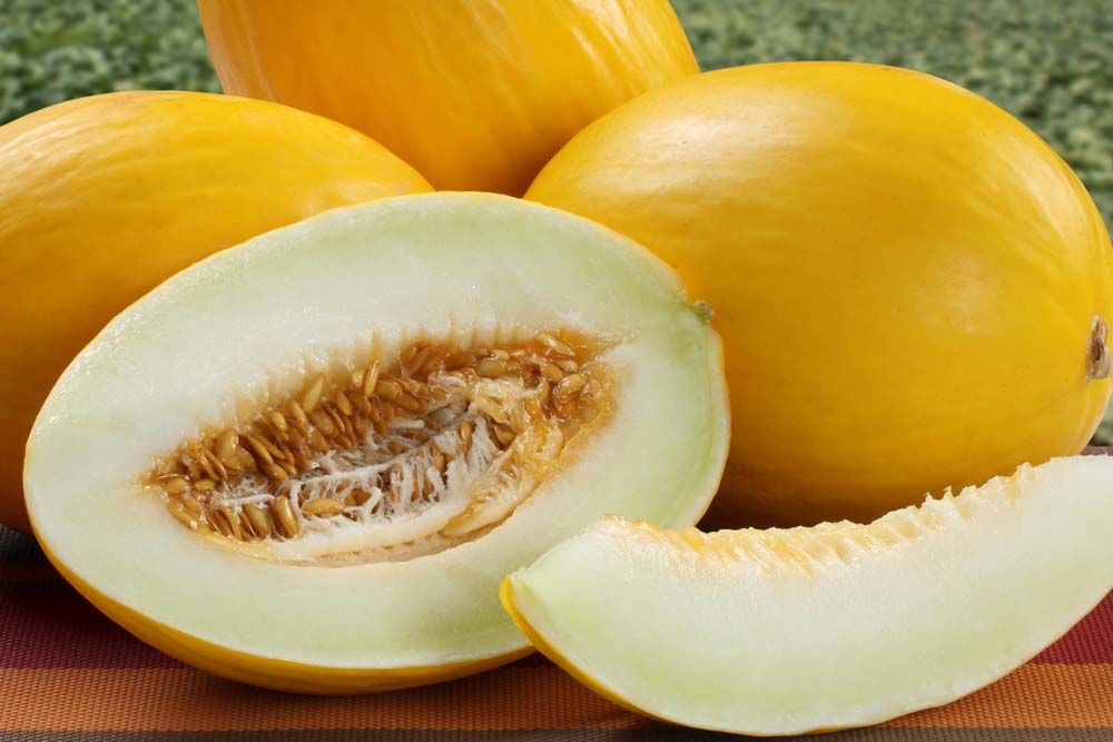 Honigmelonen Aroma Honigmelonen Aroma