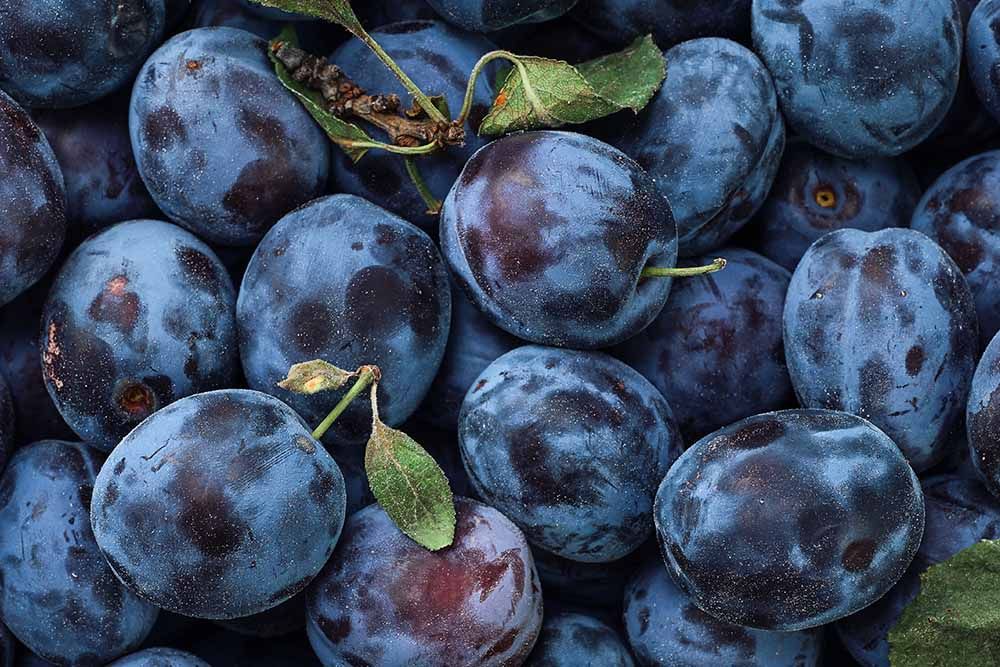 Pflaumen Aroma Pflaumen Aroma