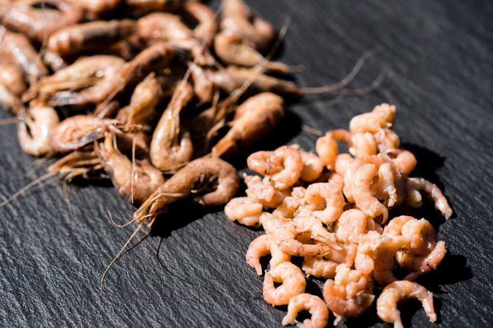 Schalentier Aroma Typ Krabbe Schalentier Aroma Typ Krabbe