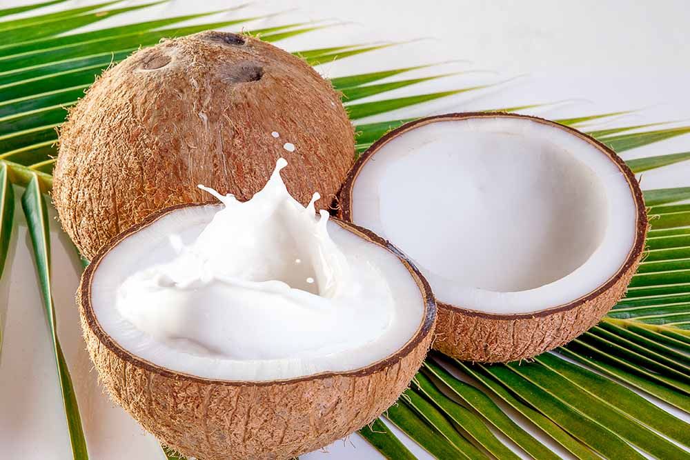 Kokosnuss Sahne Aroma Kokosnuss Sahne Aroma