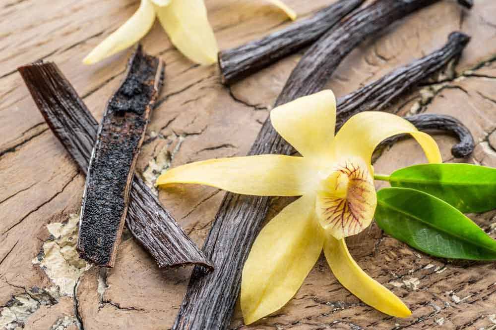 Evospray™ Vanille Aroma