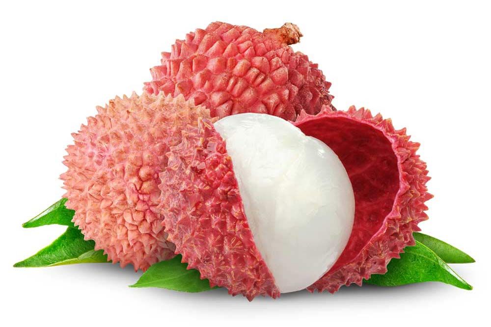Litchi Aroma Litchi Aroma