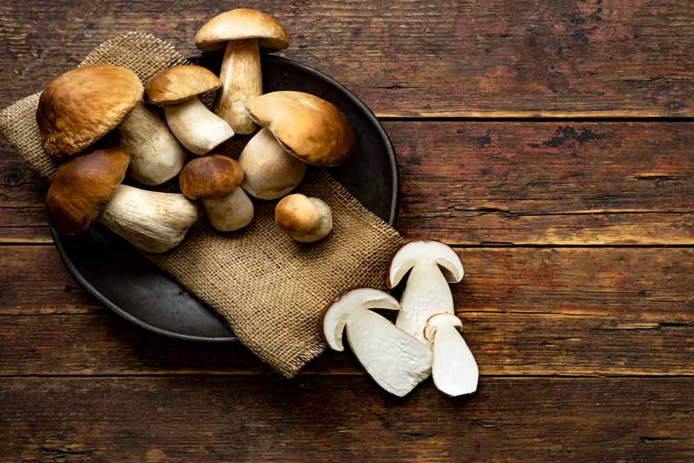 Evospray™ Steinpilz Aroma