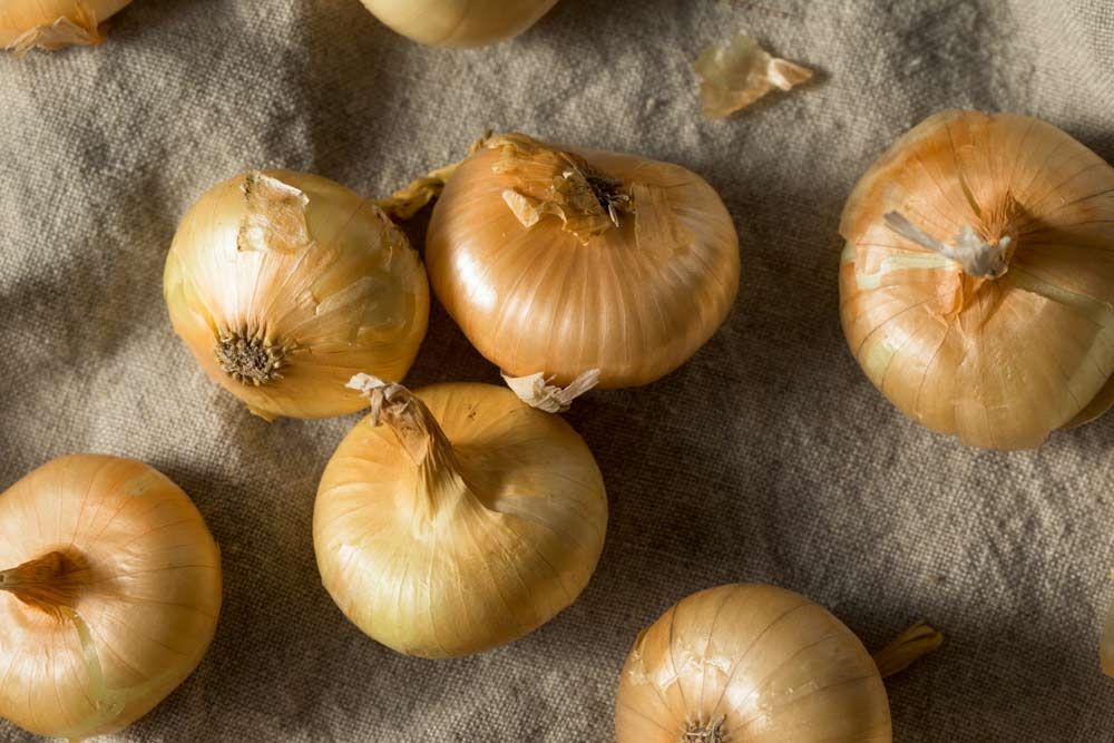 Zwiebel Aroma Typ Frisch Zwiebel Aroma Typ Frisch